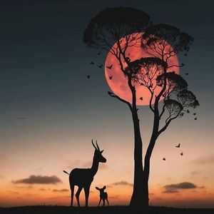 Meet your Posher, Efrain